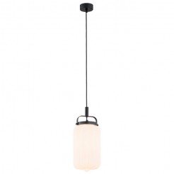 Lampa wisząca Argon opal 4106