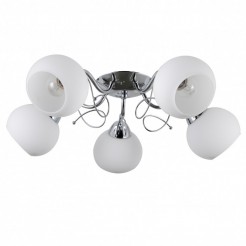 Masseri PND-6895-5