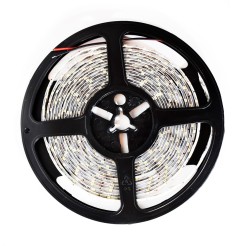 Taśma Pro 60 LED 24W 6000K IP65 5m ML4750