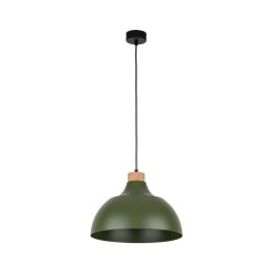 CAP GREEN LAMPA WISZĄCA 1 PŁ 5665