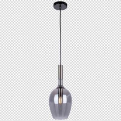 Lampa wisząca LUGANO SMOKED 1xE14 ML8813