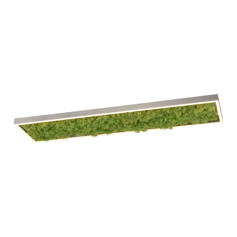 15623-66 GREEN KNUT ceiling light, moss