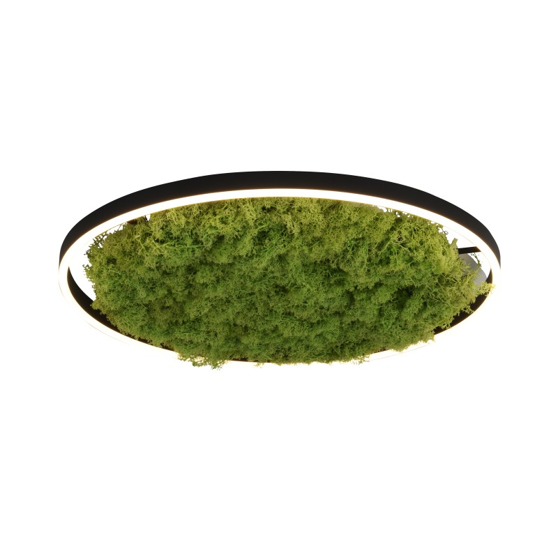 15392-66 GREEN RITUS ceiling light, moss