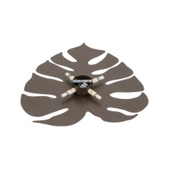 MONSTERA XL BROWN KINKIET 4XG9 5822