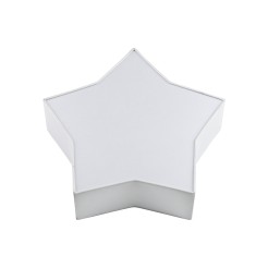 STAR WHITE LAMPA SUFITOWA 2 4514