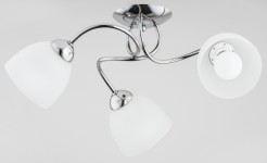 SILIA 27503