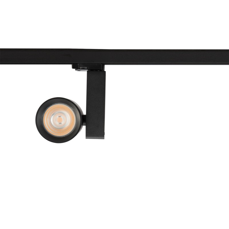 Reflektor Ojo 25W 2700/4000K Czarny 3 Obwodowy ML1107