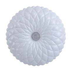 Auris PLF-53749-XL-CL