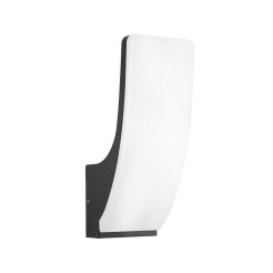 Natan OWL-61916-BK