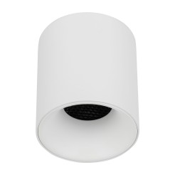 BLAZE WHITE CCT 12W 18157