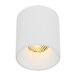 BLAZE WHITE CCT 12W 18157