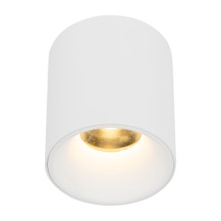 BLAZE WHITE CCT 12W 18157
