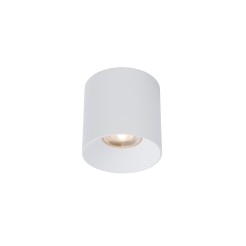 30W 3000K ANGLE 36 8731