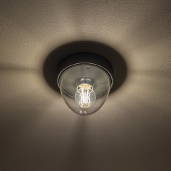 7964