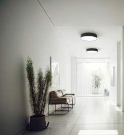 LED 10176
