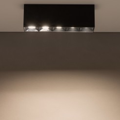 10055