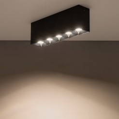 10055
