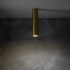 S 10882