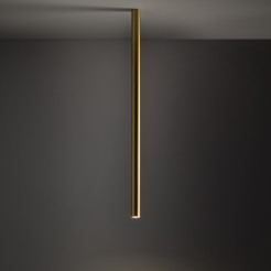 L 10894