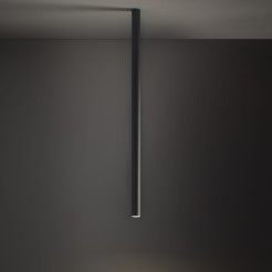 L 10896