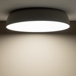 8023