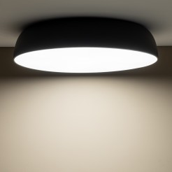 8024
