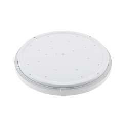 AGNES ROUND LED PRO WHITE 32W 3000K IP44 10979