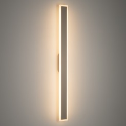 11554