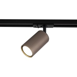 TRACER TUNE BROWN 1  GU_10 16145