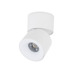SPARK WHITE CCT 10W 18168