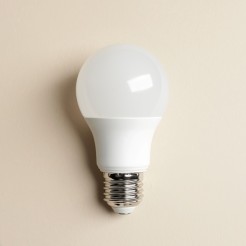 ŻARÓWKA RAPID v2 E27 3000K V2 WW