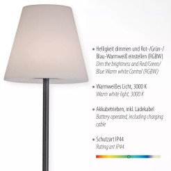 19826-18 LAMPA PODŁOGOWA HOLLY