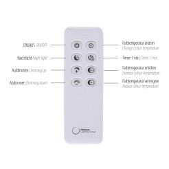 2124-13 TESSARA LAMPA WISZĄCA ANTRACYT