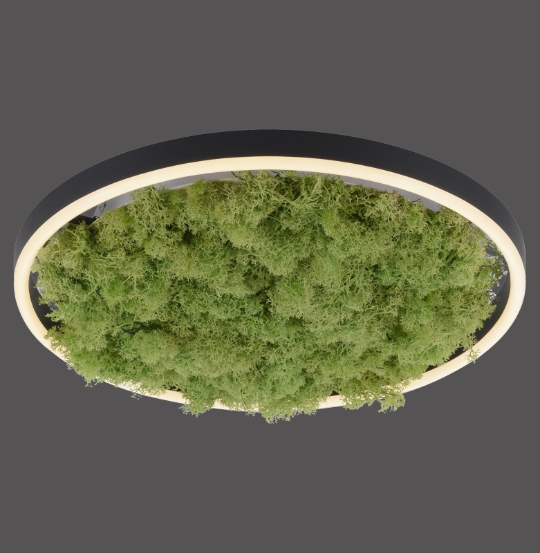 15391-66 GREEN RITUS LAMPA SUFITOWA NATURALNY MECH