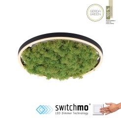 15391-66 GREEN RITUS LAMPA SUFITOWA NATURALNY MECH