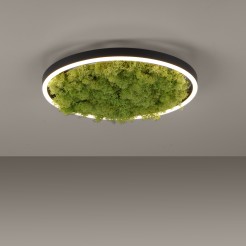 15391-66 GREEN RITUS LAMPA SUFITOWA NATURALNY MECH