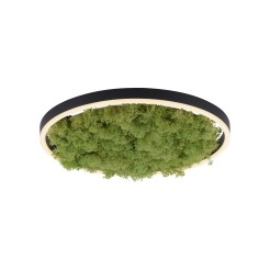 15391-66 GREEN RITUS LAMPA SUFITOWA NATURALNY MECH