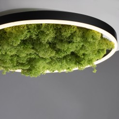 15391-66 GREEN RITUS LAMPA SUFITOWA NATURALNY MECH