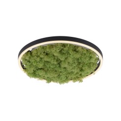 15391-66 GREEN RITUS LAMPA SUFITOWA NATURALNY MECH