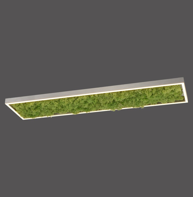 15623-66 GREEN KNUT LAMPA SUFITOWA NATURALNY MECH