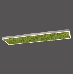 15623-66 GREEN KNUT LAMPA SUFITOWA NATURALNY MECH