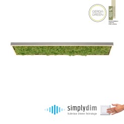 15623-66 GREEN KNUT LAMPA SUFITOWA NATURALNY MECH