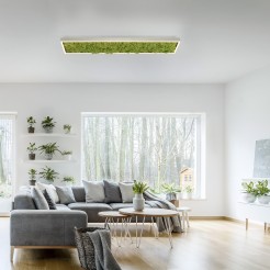 15623-66 GREEN KNUT LAMPA SUFITOWA NATURALNY MECH