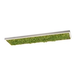 15623-66 GREEN KNUT LAMPA SUFITOWA NATURALNY MECH