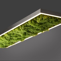 15623-66 GREEN KNUT LAMPA SUFITOWA NATURALNY MECH