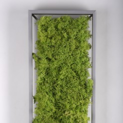 15623-66 GREEN KNUT LAMPA SUFITOWA NATURALNY MECH
