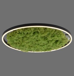 15392-66 GREEN RITUS LAMPA SUFITOWA NATURALNY MECH