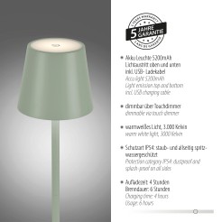 19250-43 EURIA LAMPA STOŁOWA ZIELONY