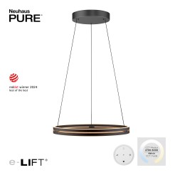 2551-18 PURE E-LOOP LAMPA WISZĄCA CZARNY