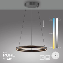 2551-18 PURE E-LOOP LAMPA WISZĄCA CZARNY